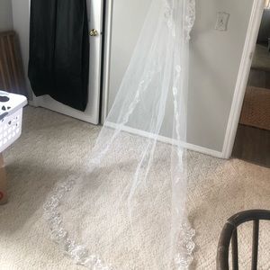 Cathedral length veil with hair comb